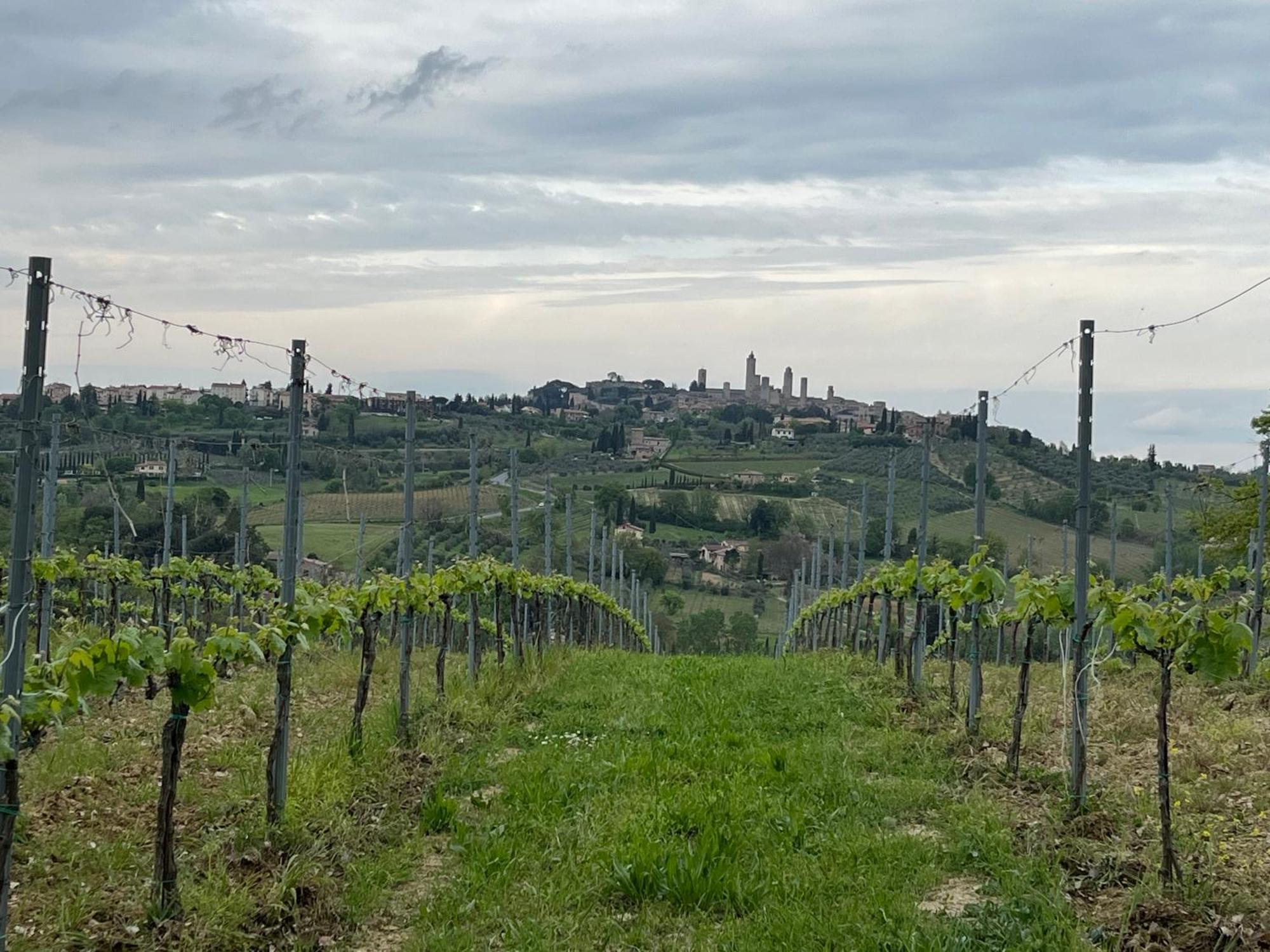 Podere Casanuova San Gimignano Eksteriør bilde