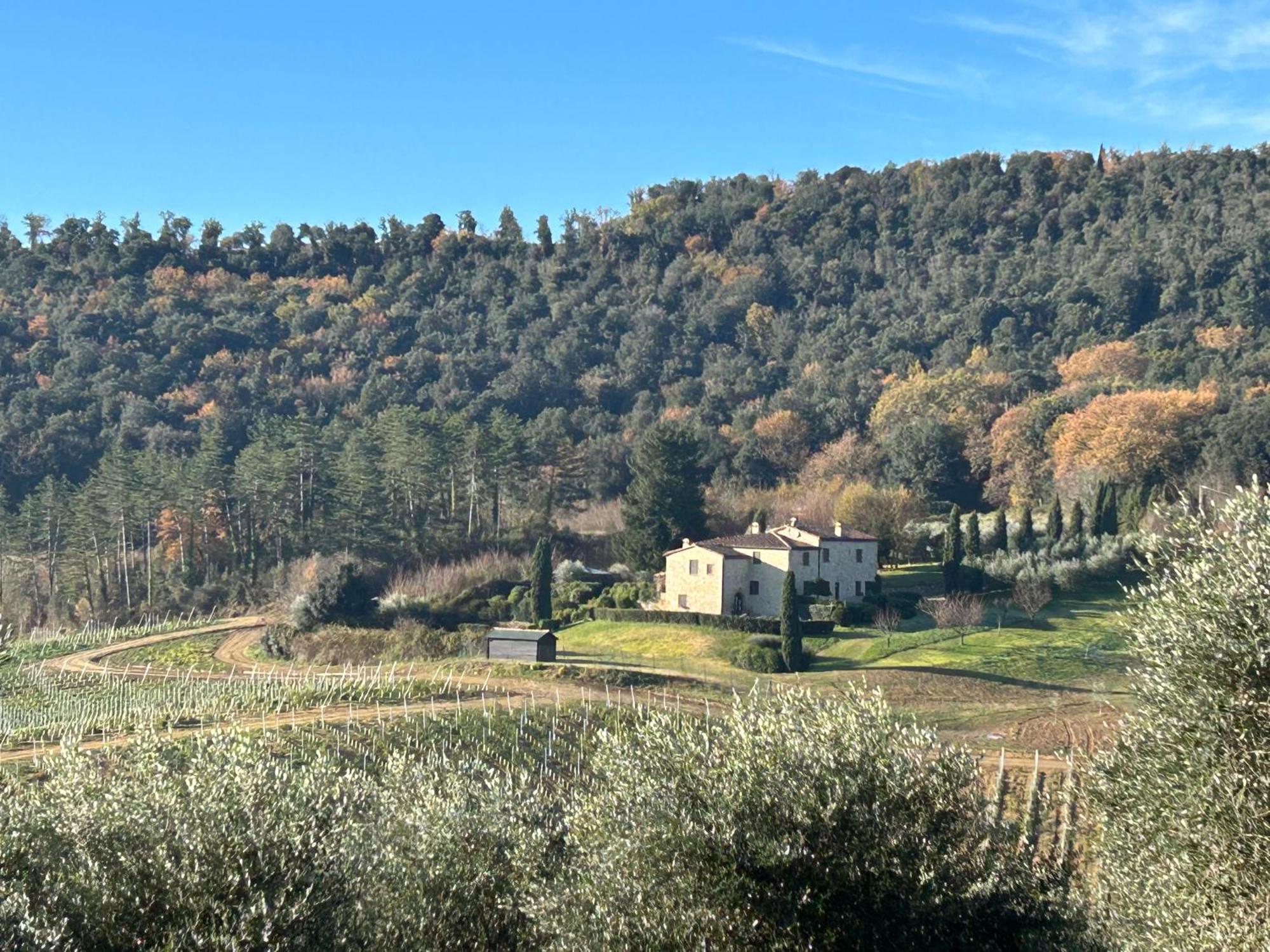 Podere Casanuova San Gimignano Eksteriør bilde