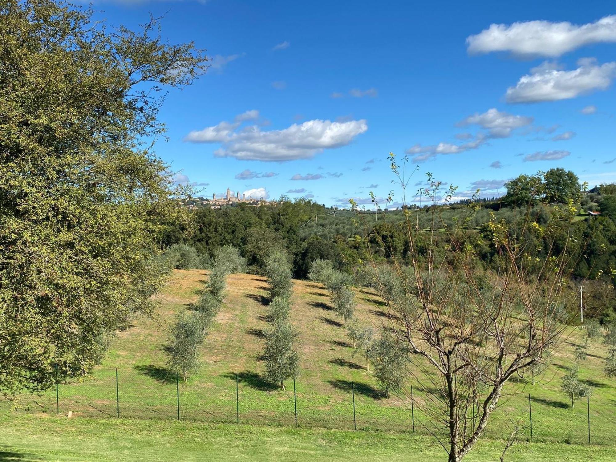 Podere Casanuova San Gimignano Eksteriør bilde