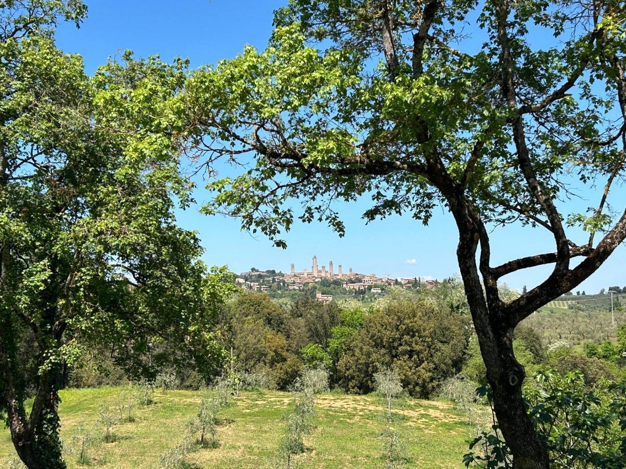 Podere Casanuova San Gimignano Eksteriør bilde
