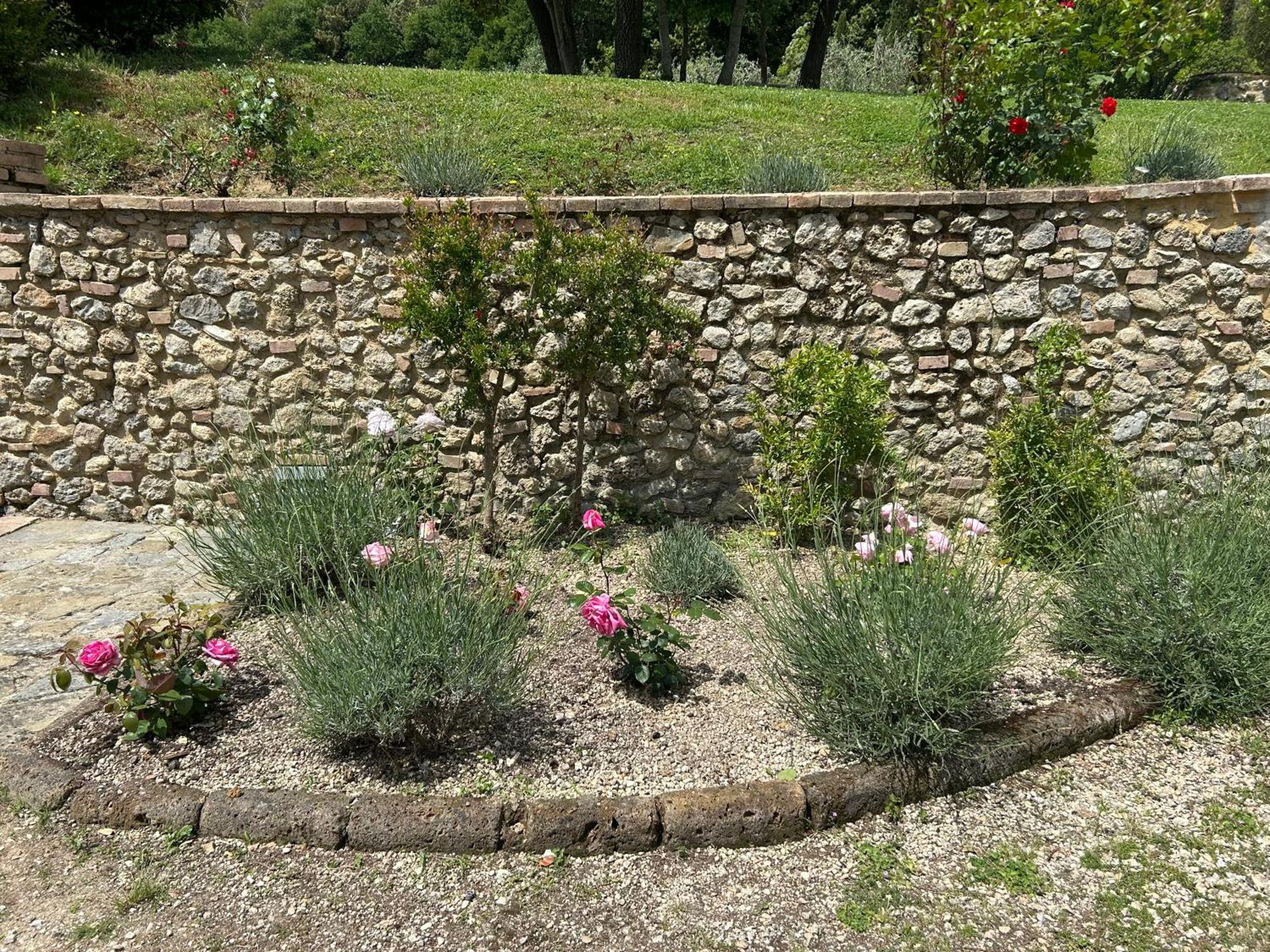 Podere Casanuova San Gimignano Eksteriør bilde